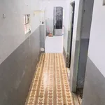 Bán đất 5,3x20m tặng nhà cấp 4 Trấn Biên 2,05 tỷ - Ảnh thu nhỏ 3