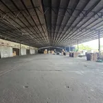 Bán gấp xưởng gỗ 8.000m² Trảng Bom, Đồng Nai - Ảnh thu nhỏ 3