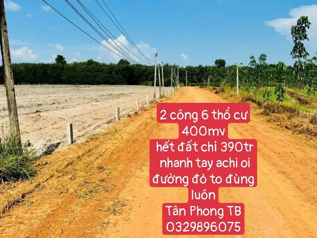 Bán đất Tân Phong, Bình Tân 260m² giá 390 triệu - Ảnh 1
