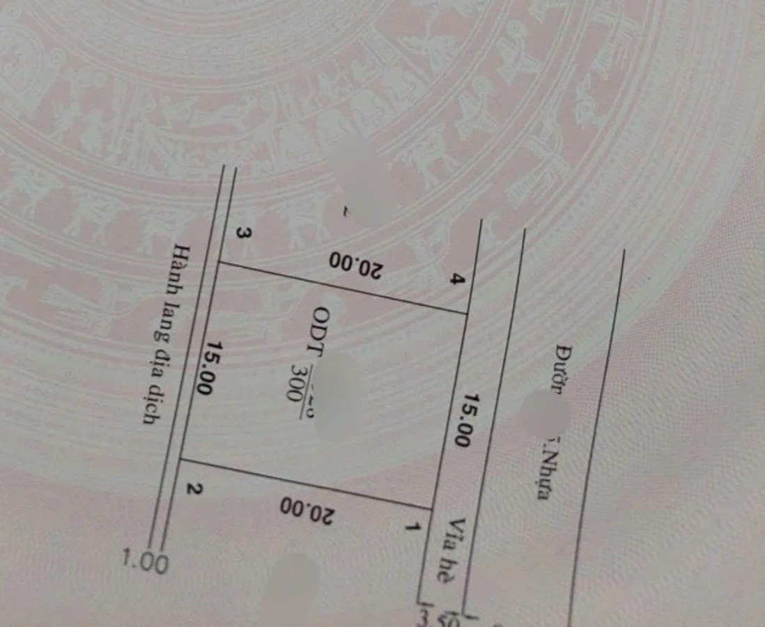 Bán biệt thự 300m2 đường N6 Dĩ An 13.5 tỷ - Ảnh 1