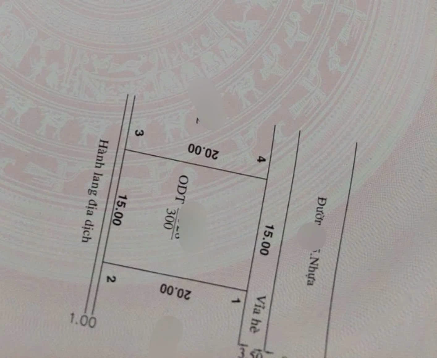 Bán biệt thự 300m2 đường N6 Dĩ An 13.5 tỷ - Ảnh 1