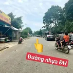 Bán đất nền Mỹ Tân Ngọc Lặc 115m² giá 60 triệu - Ảnh thu nhỏ 4