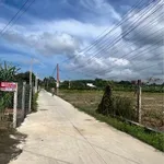 Bán đất thổ cư 5x50m Phước Tây, Tây Ninh 399 triệu - Ảnh thu nhỏ 3