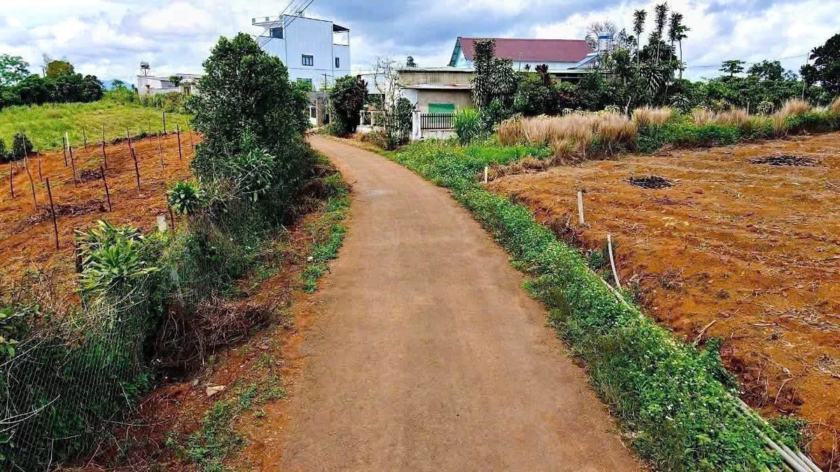 Bán đất mặt tiền Âu Cơ Bảo Lộc 100m2, 1 tỷ 8 - Ảnh thu nhỏ 4