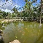 Bán nhà vườn 2186m2 mặt tiền đường nhựa lớn 32m tại Phường Bảo Vinh, Đồng Nai - Ảnh thu nhỏ 4