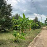 Bán đất Bù Đốp Bình Phước 10.800m² với nhà tiền chế - Ảnh thu nhỏ 3