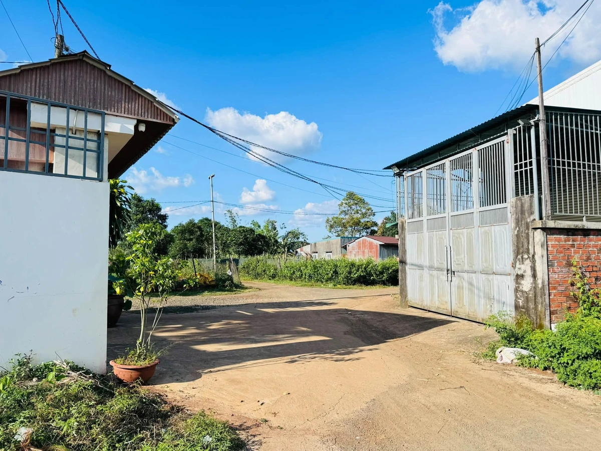 Bán 2 lô liền kề Đồi Thông 5,5×24m 132m² 990 triệu - Ảnh thu nhỏ 4