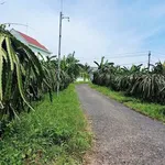 Bán đất thổ cư 600m² Tuyên Quang, Lâm Đồng 550 triệu - Ảnh thu nhỏ 2