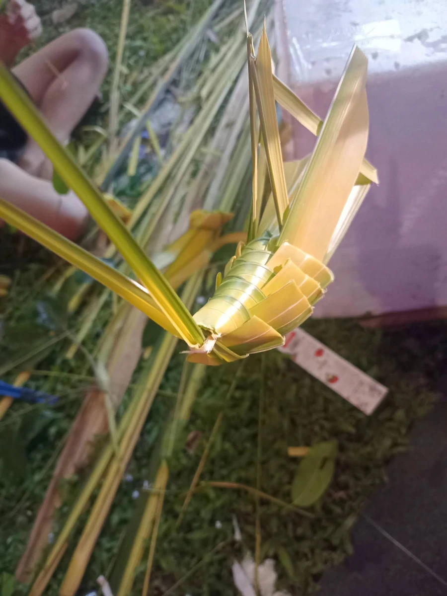 Bán đất Nguyễn Văn Tạo Hiệp Phước Nhà Bè 368m2 5 tỷ - Ảnh thu nhỏ 2