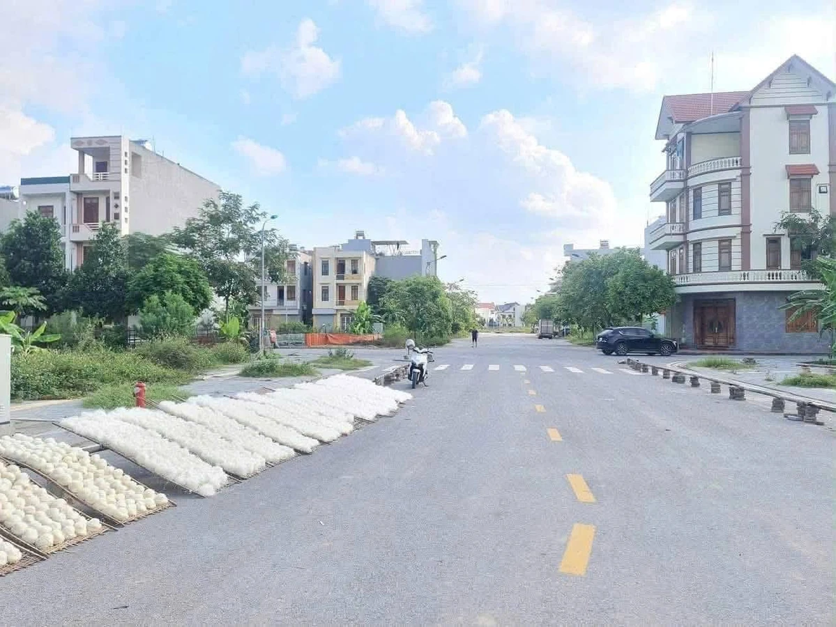 Bán đất 61.9m² mặt tiền 4.5m Lộ Cương Hải Phòng - Ảnh 1