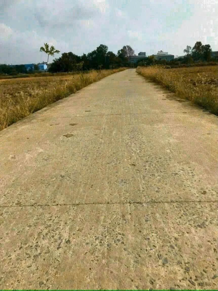 Bán lô đất 743m2 xã Tân Quý Tây, Bình Chánh, giá 5,5 tỷ - Ảnh thu nhỏ 2