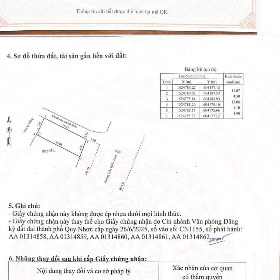Bán đất góc mặt tiền 53m2 gần chợ Hoa Lư Quy Nhơn - Ảnh thu nhỏ 5