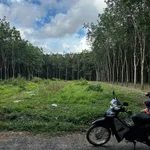 Bán đất Tân Bình 80m² giá 1,2 tỷ - Ảnh thu nhỏ 4
