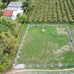Bán lô đất 753,9m² góc 3 mặt đường Hàm Liêm - Ảnh thu nhỏ 1