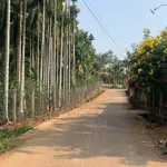 Bán đất Hóc Môn 6x24m Đại Lộ Đông Tây 2,3 tỷ - Ảnh thu nhỏ 2