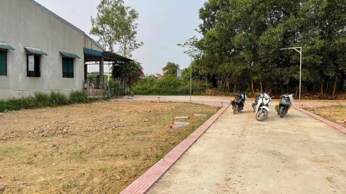 Bán đất Phú Bài 113m² từ 590 triệu - Ảnh thu nhỏ 5