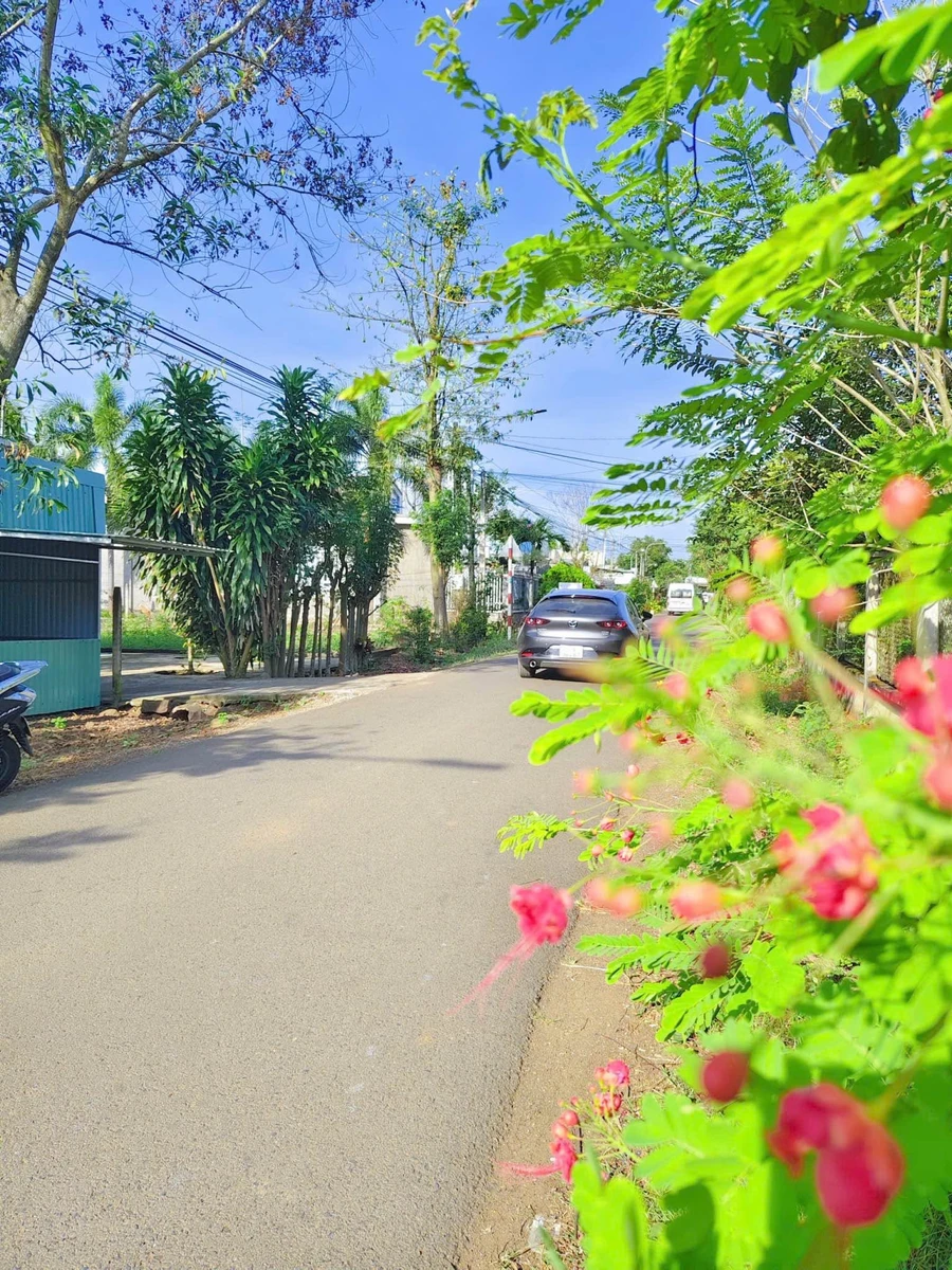 Bán đất Long Khánh 220m², 420 triệu - Ảnh 1