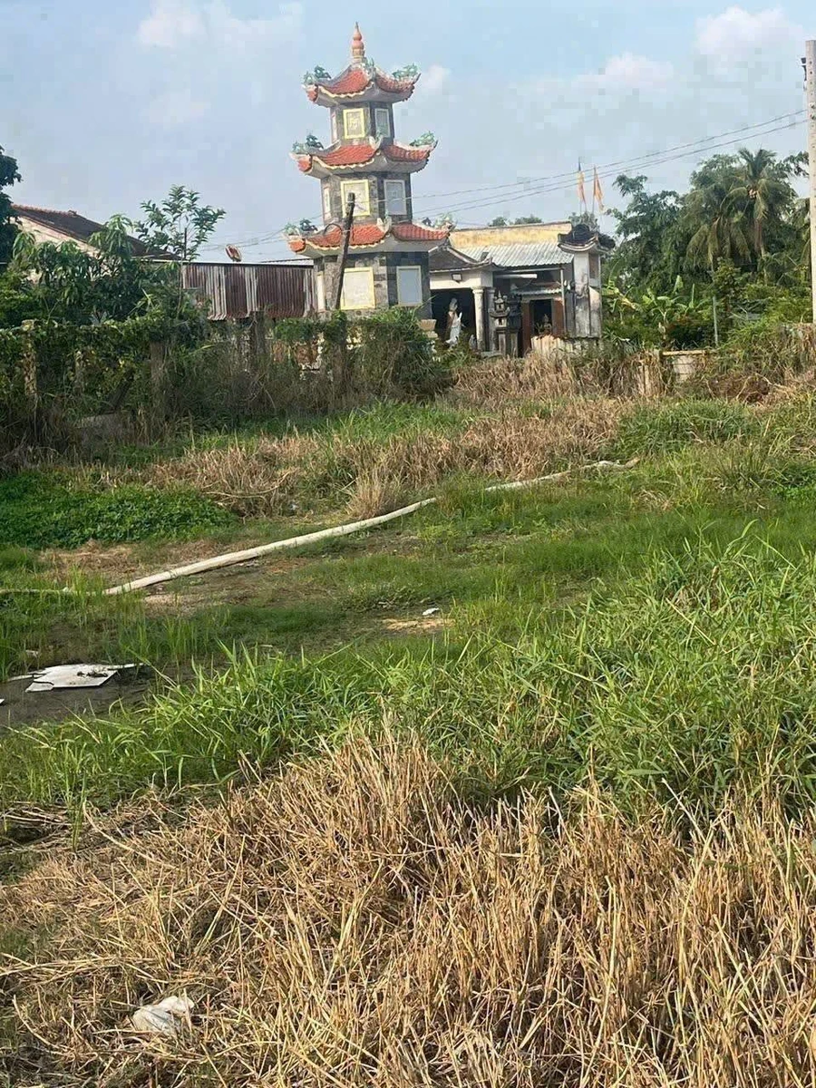 Bán đất thổ cư 145m2 giá 699 triệu tại xã Phước Vân, Cần Đước, Long An - Ảnh thu nhỏ 3