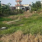 Bán đất thổ cư 145m2 giá 699 triệu tại xã Phước Vân, Cần Đước, Long An - Ảnh thu nhỏ 3