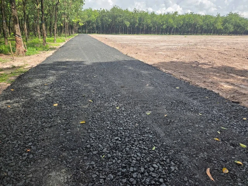 Đất mặt tiền Giồng Cà, Bình Minh, Tây Ninh (20x50m hoặc 10x50m)
