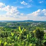 Bán đất vườn 1.200m² view hồ Trị An, Định Quán - Ảnh thu nhỏ 5