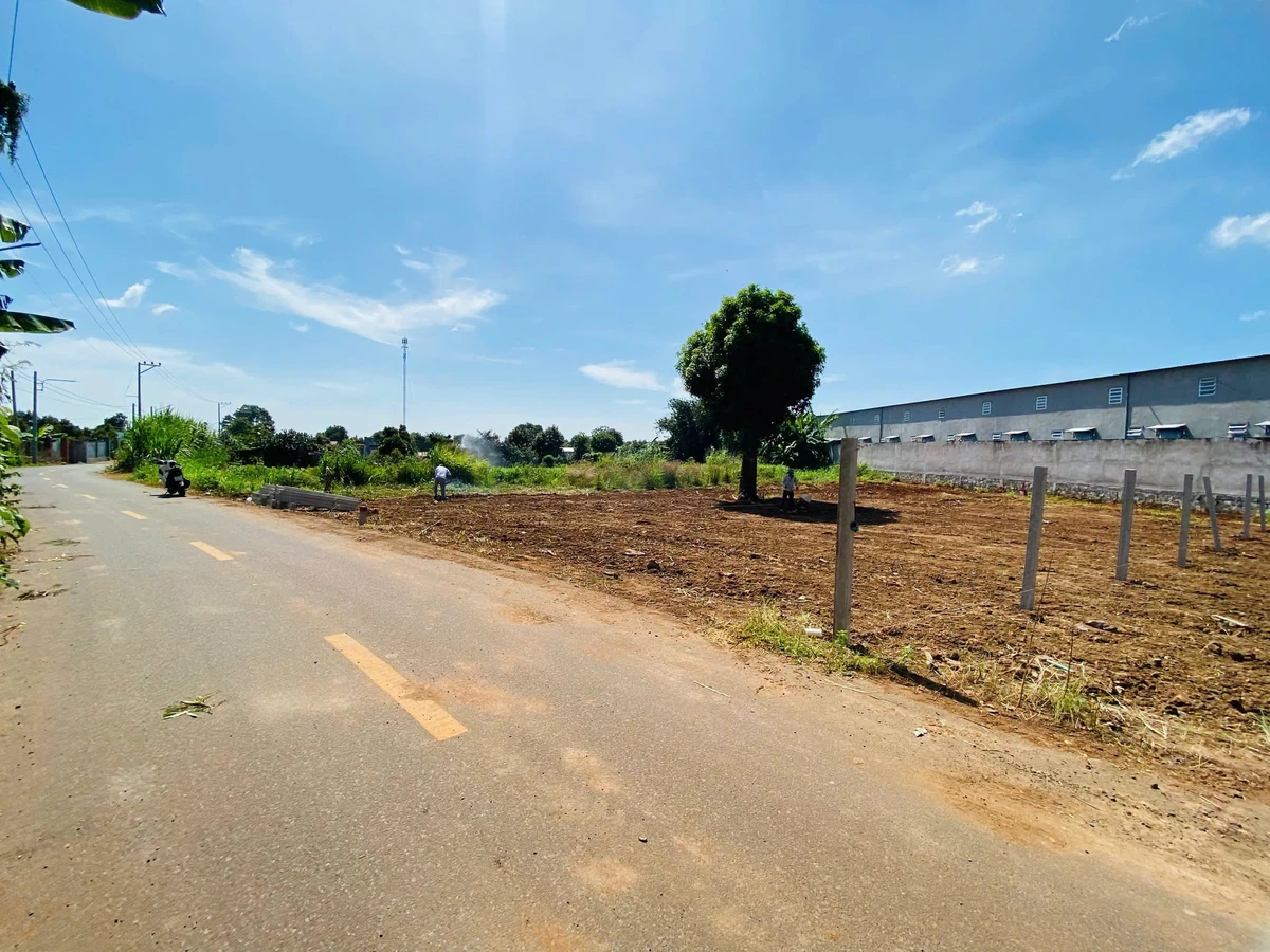 Bán 2 lô đất liền kề Đất Đỏ, 278m² và 352m², sổ sẵn - Ảnh thu nhỏ 4