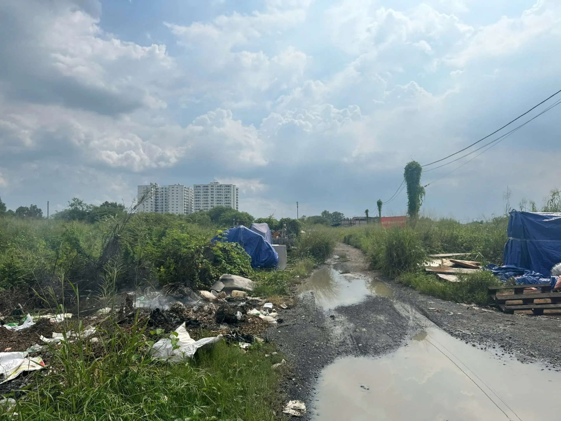 Bán đất thổ xây cao 9699m2 Tây Lân Bình Tân, 240 tỷ - Ảnh 1