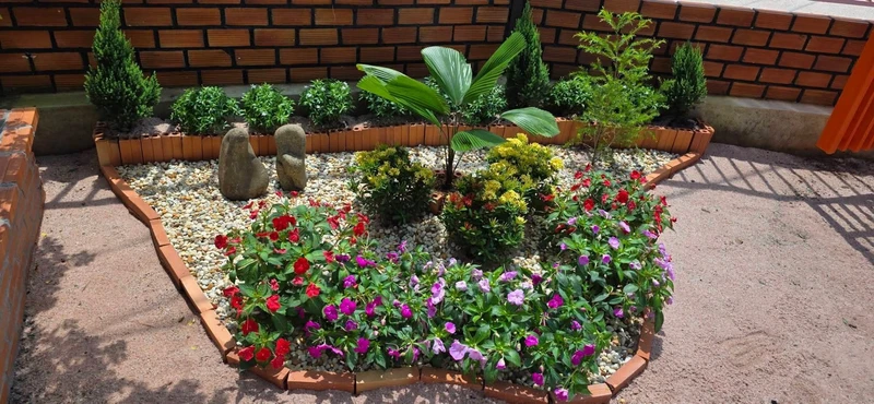 Bán đất thổ cư 264m² Châu Thành sổ sẵn 375 triệu