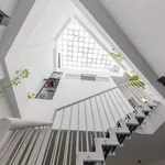 Bán đất biệt thự 307m² Lê Ngọc Hân, Vũng Tàu - Ảnh thu nhỏ 2