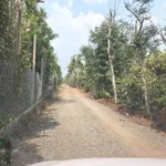 Bán đất sầu riêng 2,01 ha Hoà Thuận, Long An - Ảnh thu nhỏ 2