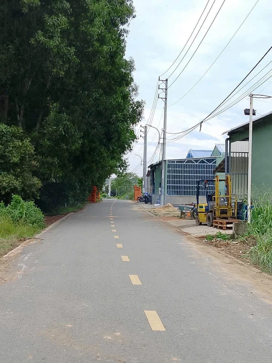 Bán đất 1200m2 (20x60m) Tân Định, Bến Cát, Bình Dương giá 7,8 tỷ - Ảnh thu nhỏ 2