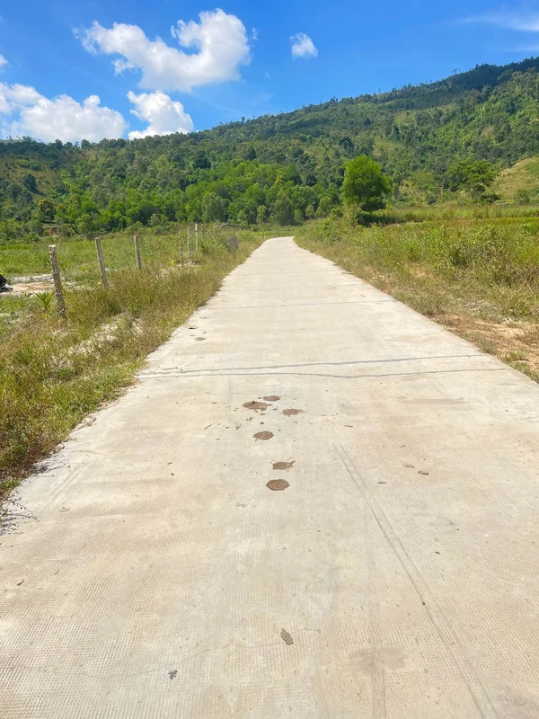 Bán lô đất ruộng 5 sào tại Pleiku Gia Lai