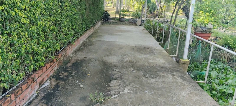 Bán đất 530m2 có sân vườn hồ bơi tại Phú Hưng, TP Bến Tre, giá 1,25 tỷ