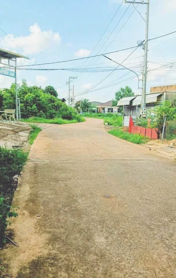 Bán đất thổ cư 15500m² mặt tiền Trần Hưng Đạo, Bình Dương 820 triệu - Ảnh thu nhỏ 3
