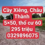 Bán đất nền 250m² Tây Ninh 295 triệu - Ảnh thu nhỏ 1