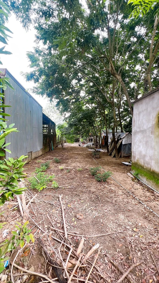 Bán đất 150m² full thổ cư Miếu Bông, Hòa Xuân 1,67 tỷ - Ảnh thu nhỏ 2