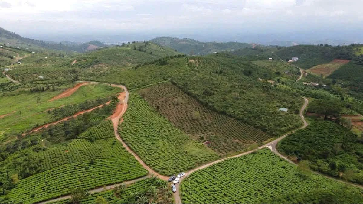 Bán đất 3330m² có 200m thổ cư 2,5 tỷ tại Bảo Lâm - Ảnh thu nhỏ 5