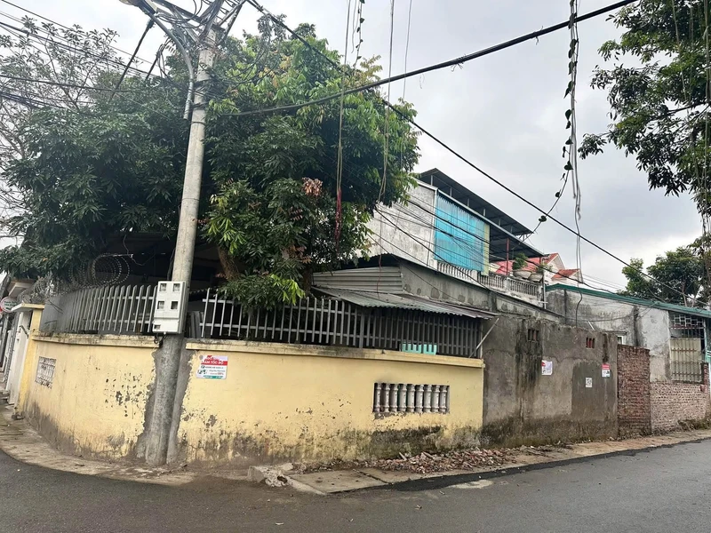 Bán lô góc Thịnh Minh 103m²
