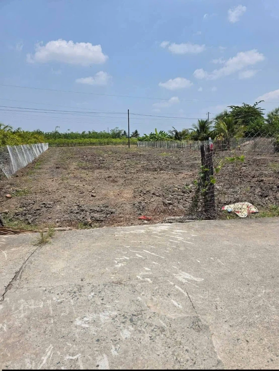 Bán đất nông nghiệp 2000m² tại Xã Vĩnh Công, Châu Thành, Long An - Ảnh thu nhỏ 3