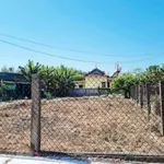 Bán đất Phú Vang Huế 100m² sổ đỏ 500 triệu - Ảnh thu nhỏ 1
