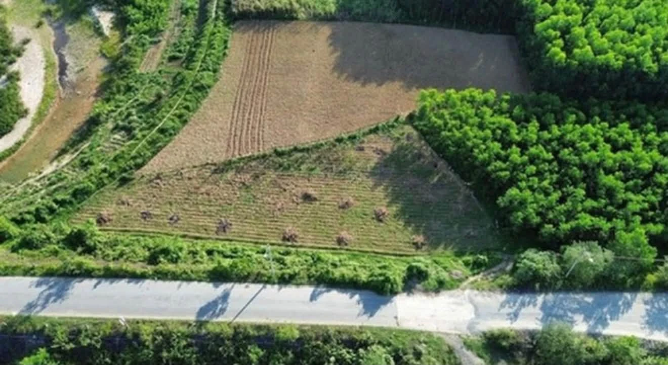 Bán đất 700m2 mặt đường Hội Phước - Hòa Phú, Xã Bà Nà 6 tỷ - Ảnh 1