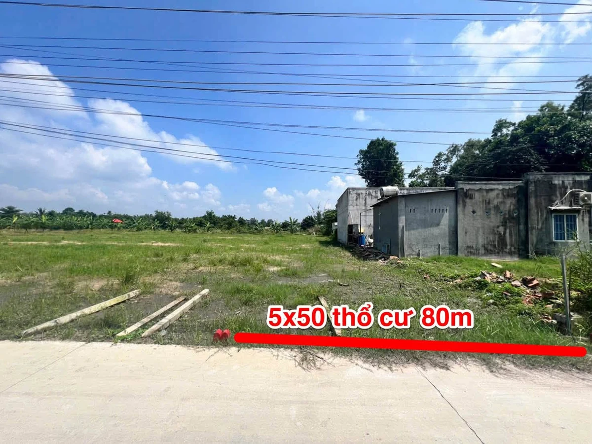 Bán đất mặt tiền 80m² Phước Thạnh Tây Ninh 399 triệu - Ảnh thu nhỏ 2