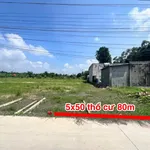 Bán đất mặt tiền 80m² Phước Thạnh Tây Ninh 399 triệu - Ảnh thu nhỏ 2