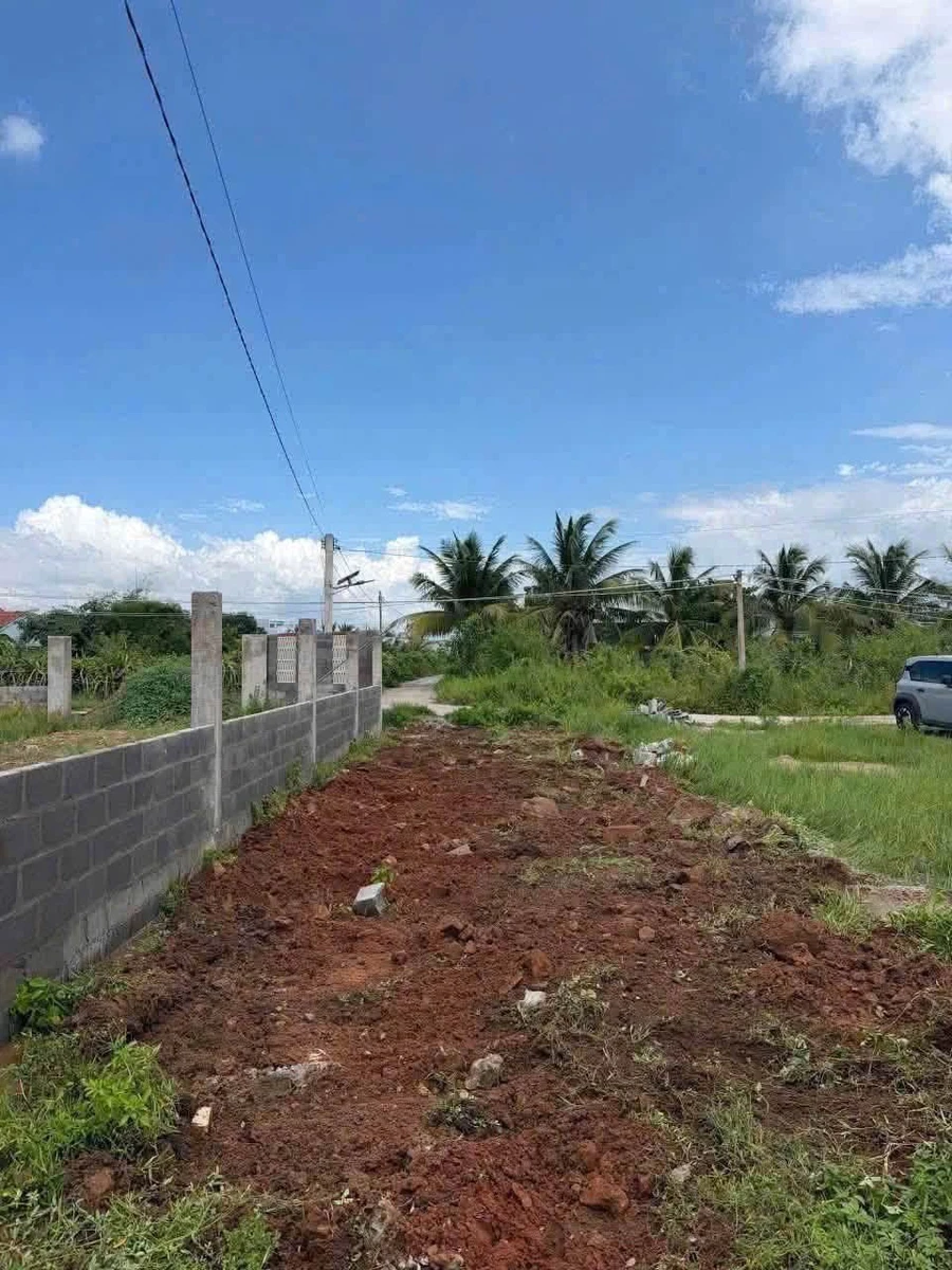 Bán nhanh lô đất thổ cư 102m2 Hàm Liêm, Phan Thiết - Ảnh thu nhỏ 2