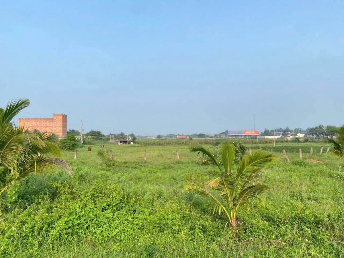 Bán 300m² đất thổ cư Hàm Đức, Bình Thuận 800 triệu - Ảnh thu nhỏ 3