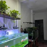 Bán nhà 1 trệt 1 lầu 90.6m2 Phan Thiết, Lâm Đồng 3.8 tỷ - Ảnh thu nhỏ 4