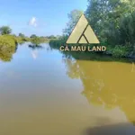 Bán vuông 7.420 m² đất thủy sản Cà Mau gần Rạch Bàn - Ảnh thu nhỏ 4