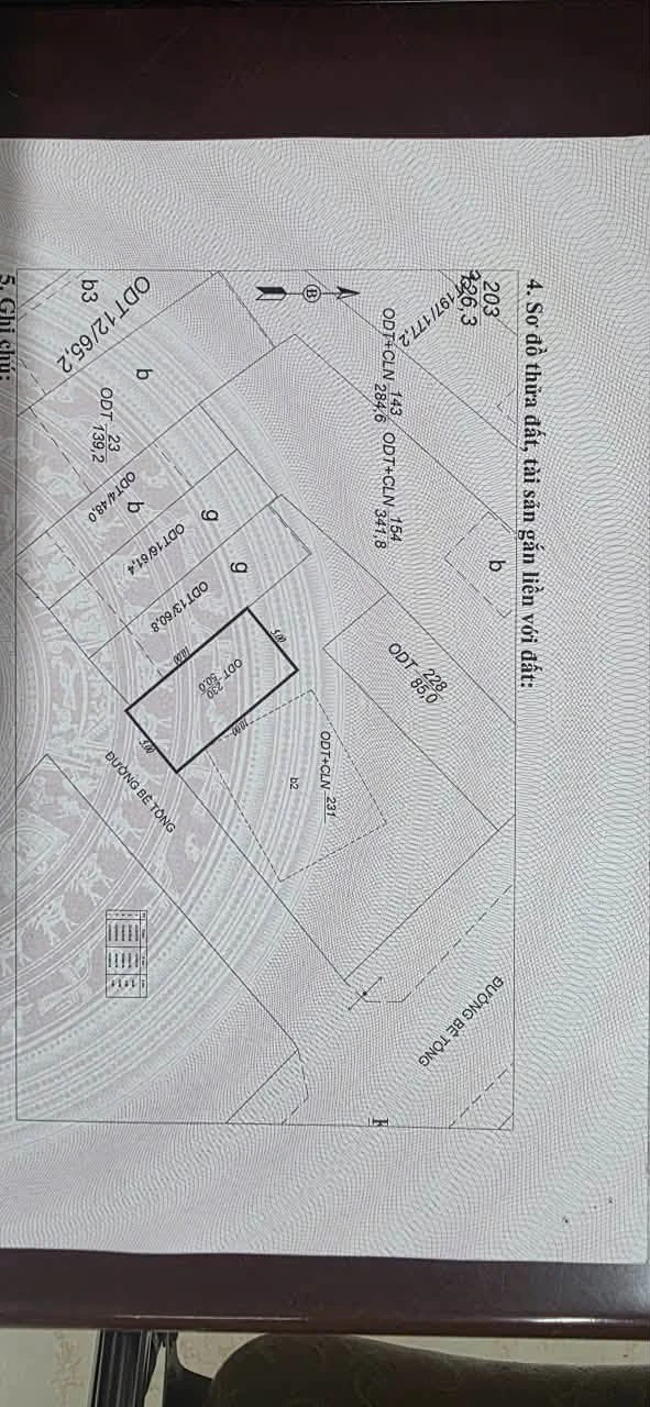 Bán đất 50m² mặt tiền 5m khu bãi muối Nhà Bè - Ảnh 1