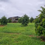 Bán đất sầu riêng 3,9ha Nghĩa Trung Đồng Nai 13,5 tỷ - Ảnh thu nhỏ 2