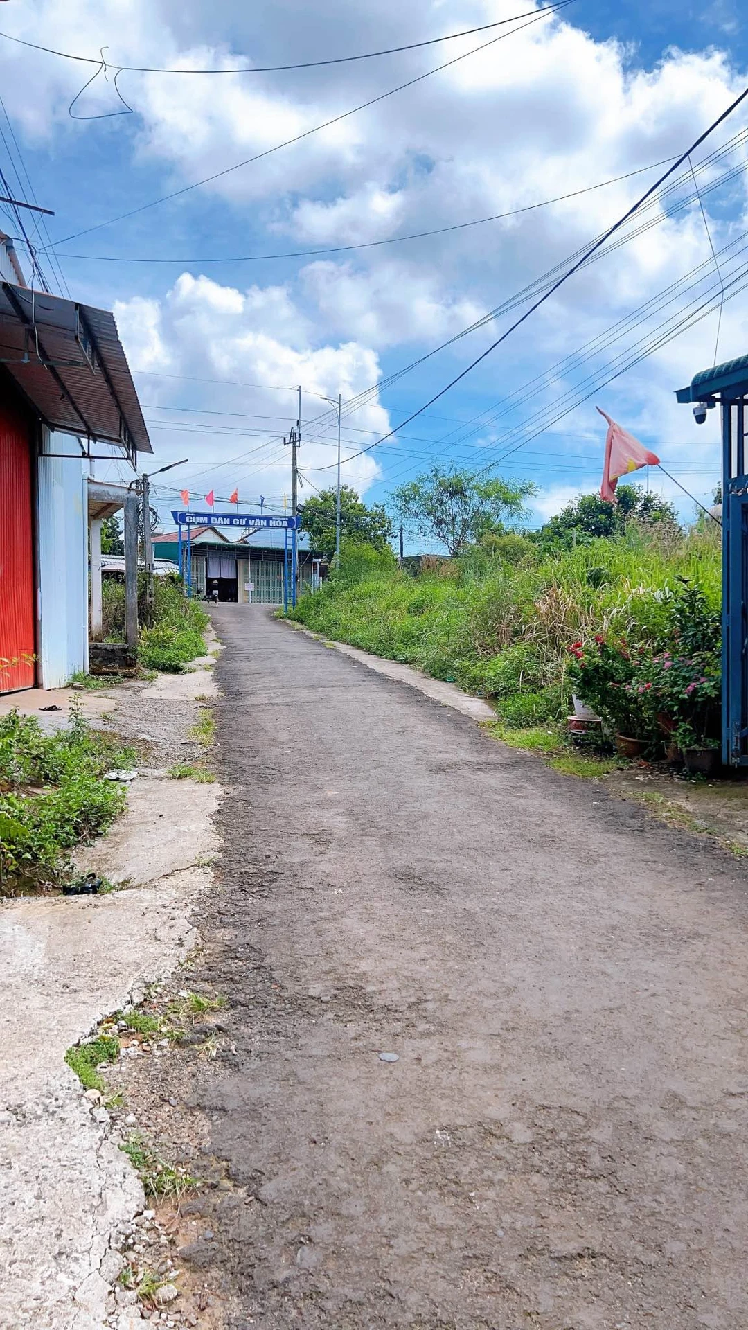 Bán nhà phố 100m² 2 phòng ngủ Lâm Đồng 1,6 tỷ - Ảnh 1